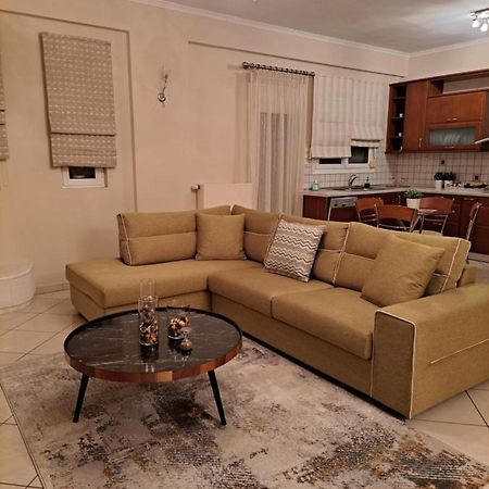 Elena House Apartment Ioannina Bagian luar foto
