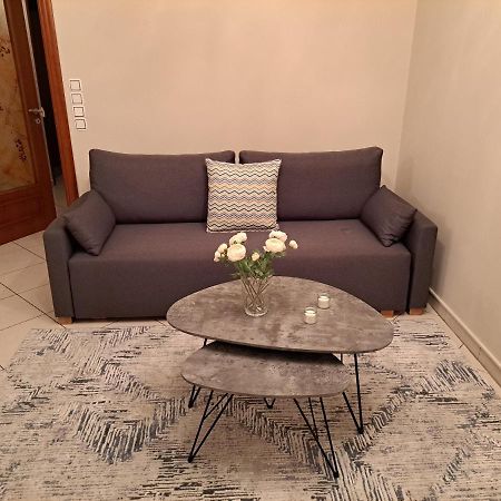 Elena House Apartment Ioannina Bagian luar foto
