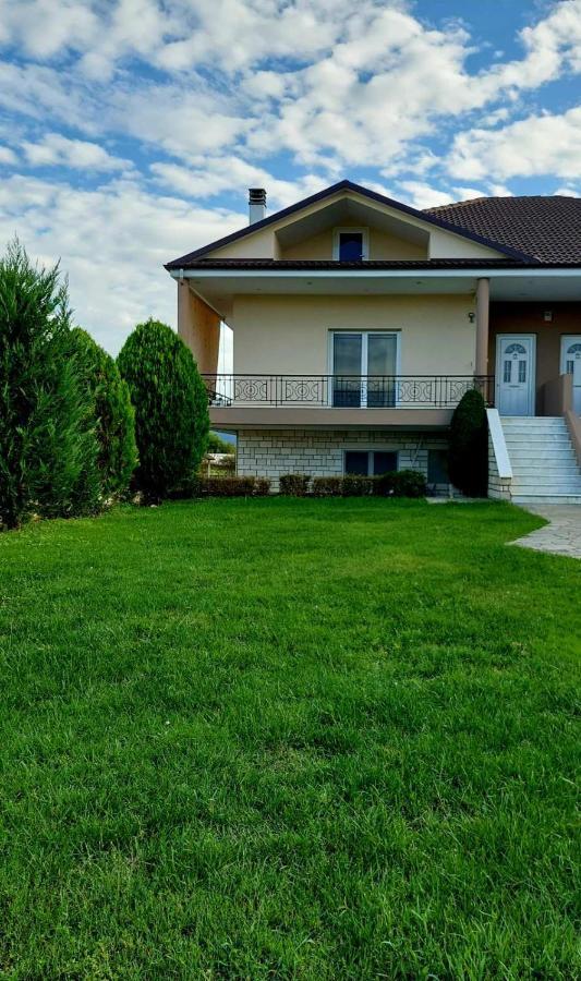 Elena House Apartment Ioannina Bagian luar foto