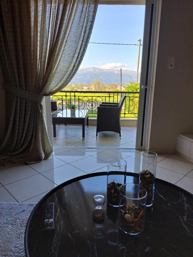 Elena House Apartment Ioannina Bagian luar foto